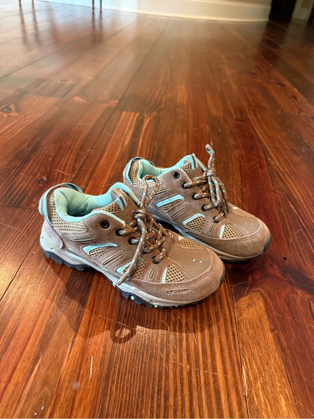 Kids Brown and Light Blue Hiking Sneakers